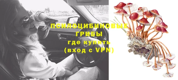 соль ск Богородицк