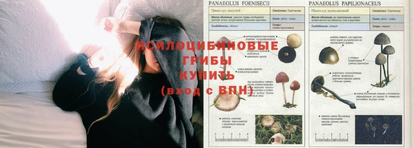 экстази Богородск