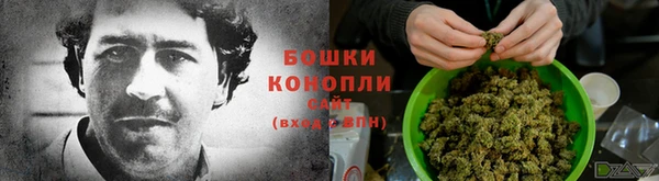 соль ск Богородицк