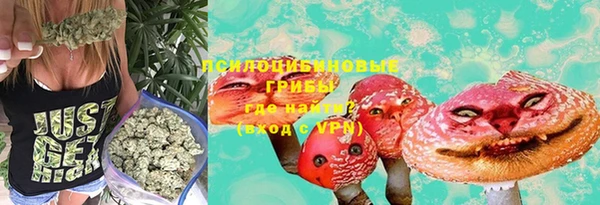 гидра Россошь