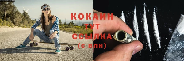 соль ск Богородицк
